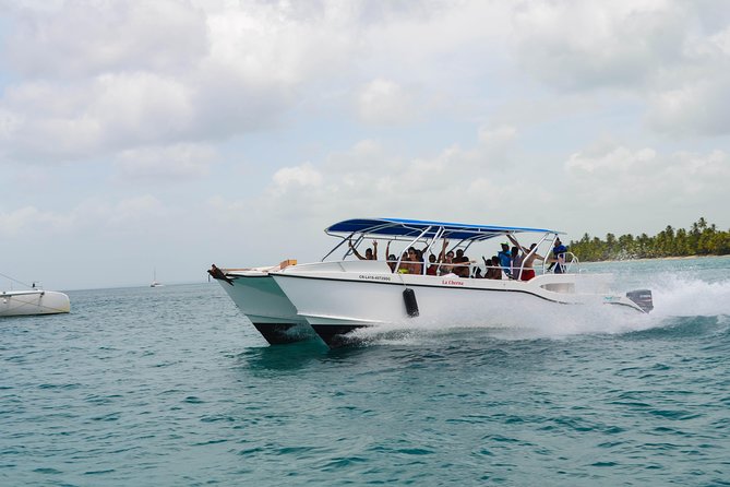 Saona Island Day Trip + Lobsters & Wine Included - Saona Island Highlights