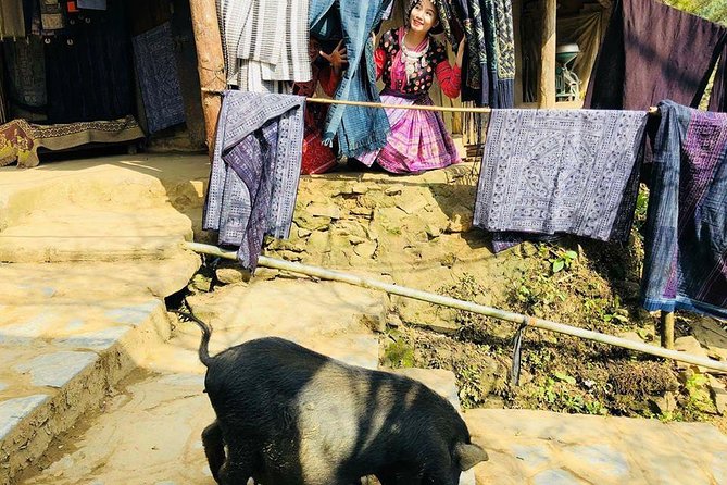 Sapa Private Tour 2 Days 1 Night - Accessibility Considerations