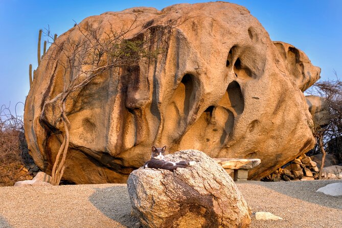 Scenic Aruba Self-Guided Driving and Walking Audio Tour - Support and Troubleshooting