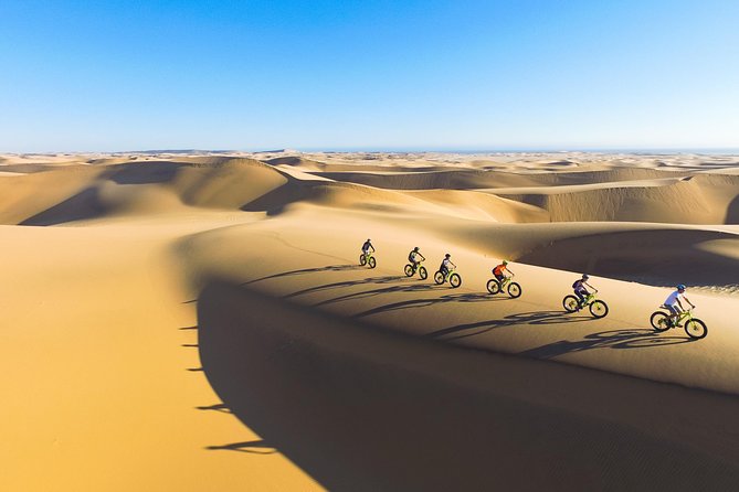 Scenic Desert Tour by Bike - Accessibility Considerations