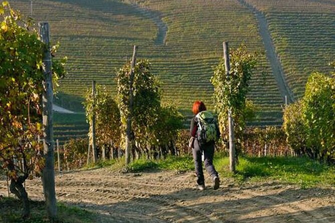 Scenic Langhe Hike and Wine Tasting From Alba  - Langhe-Roero and Monferrato - Activity Duration and Group Size