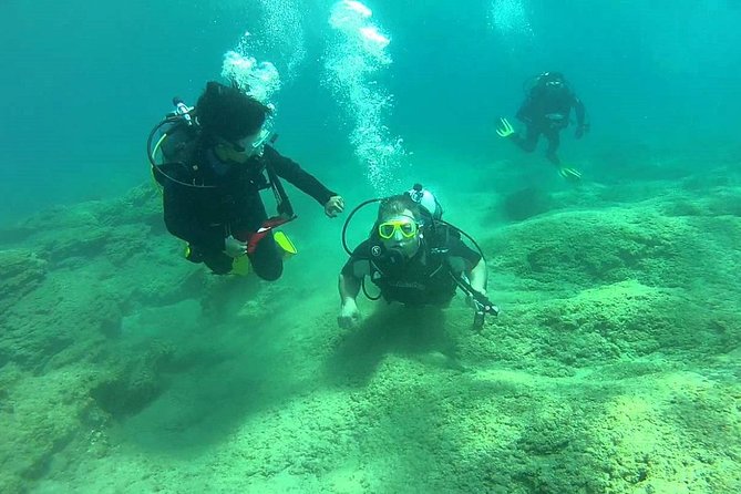 Scuba Diving From Dalyan - Contacting the Viator Help Centre