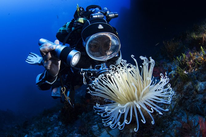 Scuba Diving in Calabria, Italy - Health and Safety Considerations