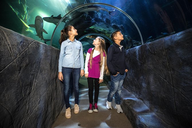 SEA LIFE Munich Admission Ticket - Plan Your Visit to SEA LIFE Munich