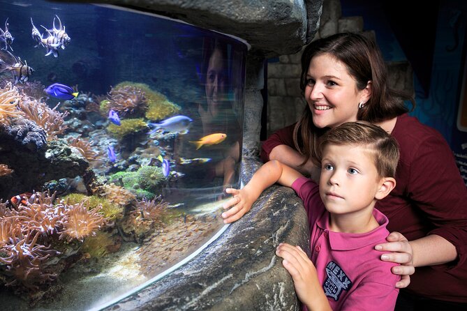 SEA LIFE Timmendorfer Strand Admission Ticket - Customer Reviews and Feedback