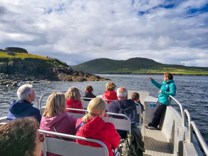 Sea Safari & Adventure : The Valentia Island Experience - Customer Feedback