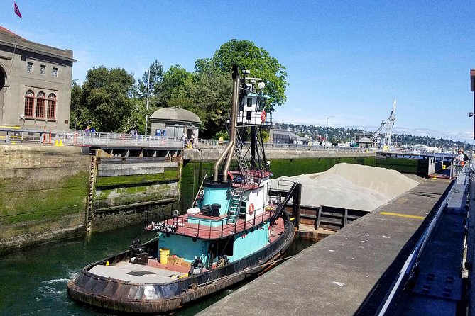 Seattle Ballard Locks, Gas Works Park and Houseboats Tour - Travelers Positive Experiences