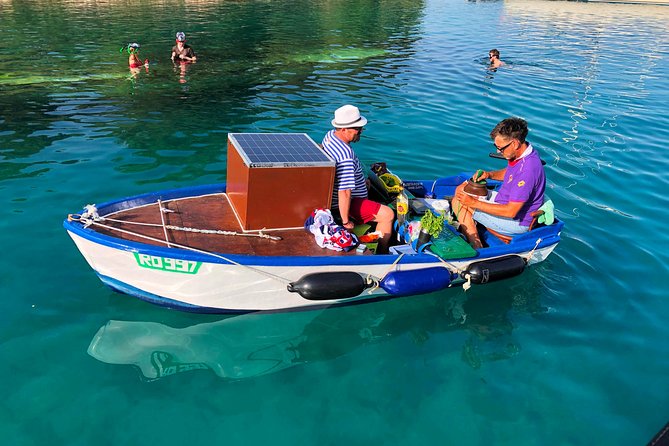 Secrets of Brac and Solta - Off the Beaten Track Croatia - Snorkeling at Underwater Shipwreck Site