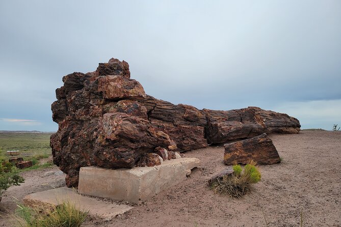 Sedona to Petrified Forest/Painted Desert Adventure PRIVATE TOUR! - Highlights of the Petrified Forest