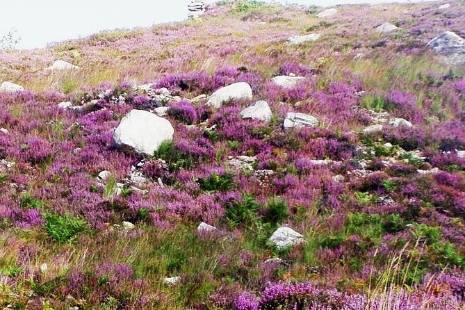 Self Guided Electric Bike Tour of Historical Sites in the Burren Co Clare - Poulnabrone Dolmen Exploration