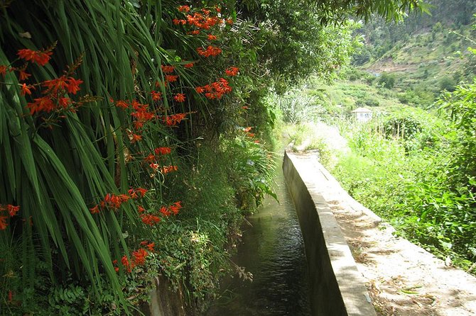 Serra D'Água Valley - Levada Walk - Natural Beauty and Informative Guides