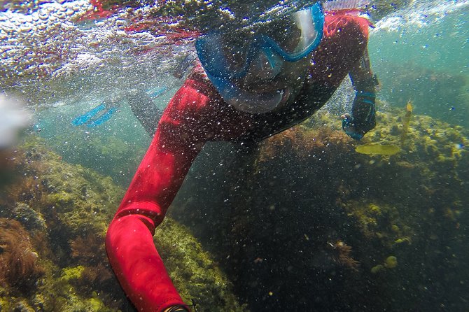 Sesimbra Small-Group Snorkeling Tour  - Setubal District - Tour Duration and Schedule