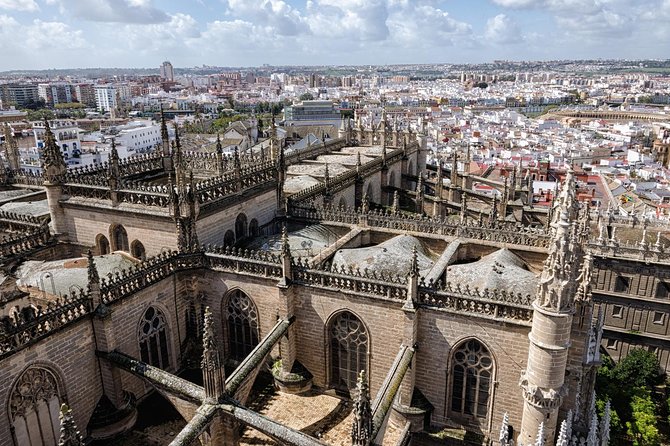 Seville Day Trip From Cadiz - Guest Experiences and Feedback