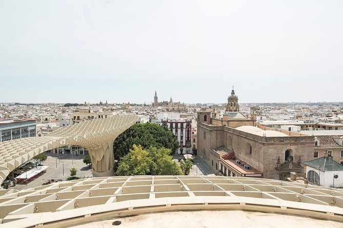 Seville Day Trip With Cathedral Entrance Direct From Malaga - Recommendations for Improvement