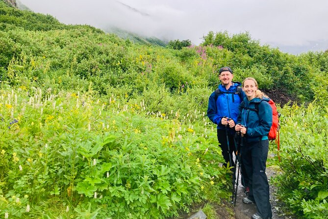 Seward Wilderness Hiking - Wildlife Encounters on the Trail