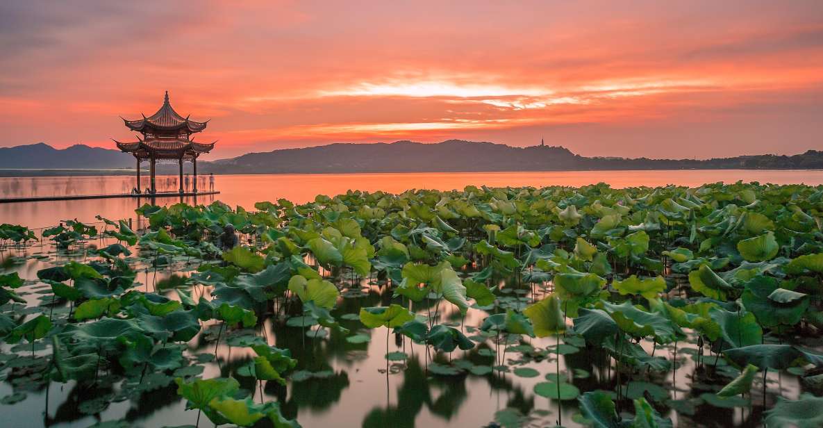 Shanghai: Private Guided Tour to Hangzhou by Bullet Train - Tea Tasting at Longjing Farm