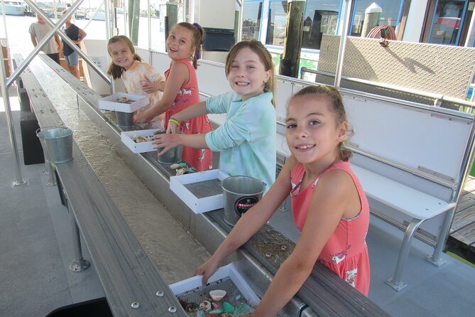 Shark Teeth and Shells, Dolphin and Shelling Tour Boat Clearwater Beach - Critical Feedback