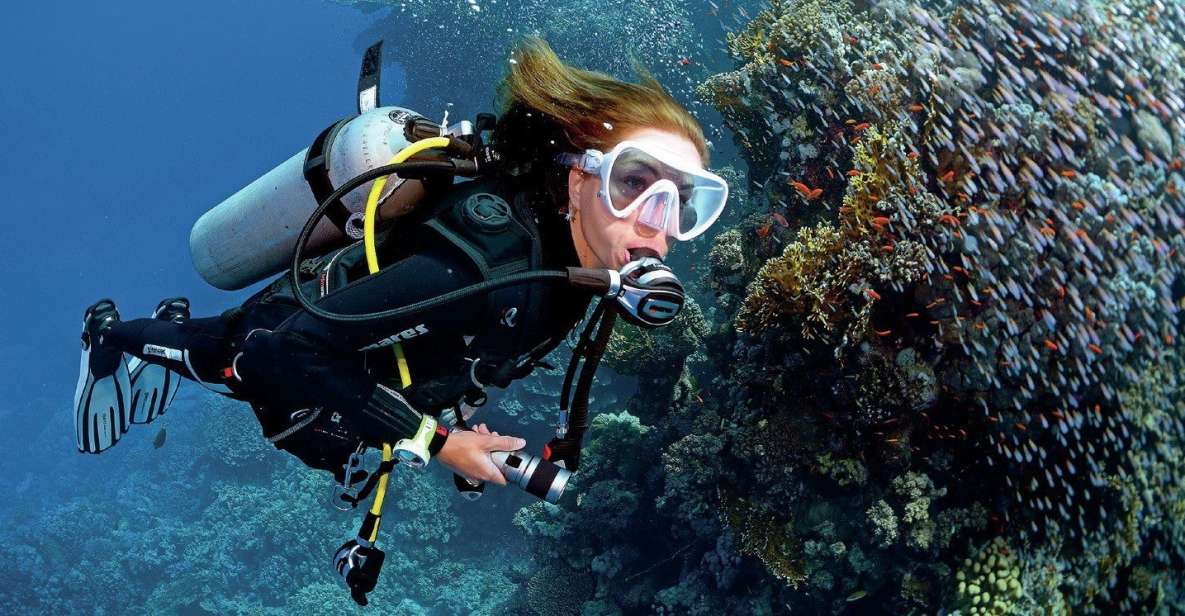 Sharm El Sheikh: Diving Day Trip by Boat at Ras Mohamed - Best Time to Visit