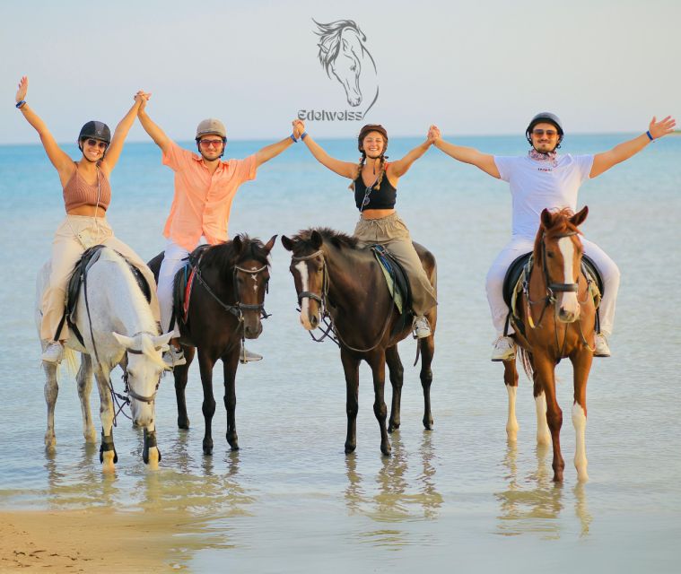 Sharm El Shiekh: Beach and Desert Horse Riding Tour - Customer Reviews