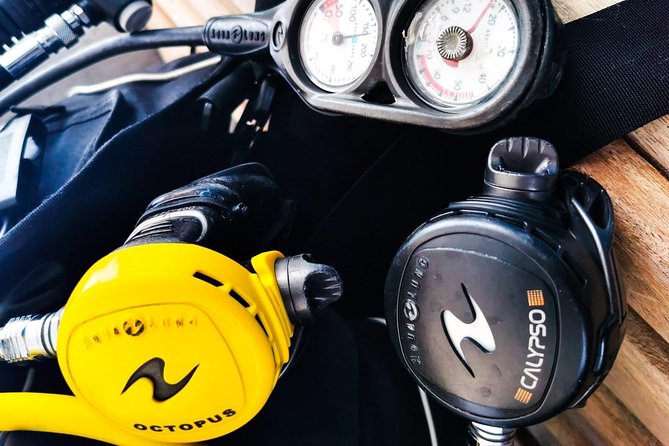 Shore Discover SCUBA Diving/Introductory Diving - One Dive - Customer Reviews and Ratings