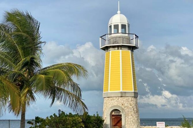Shore Excursion: Grand Cayman The Far Side Small Group Tour - Schedule and Availability