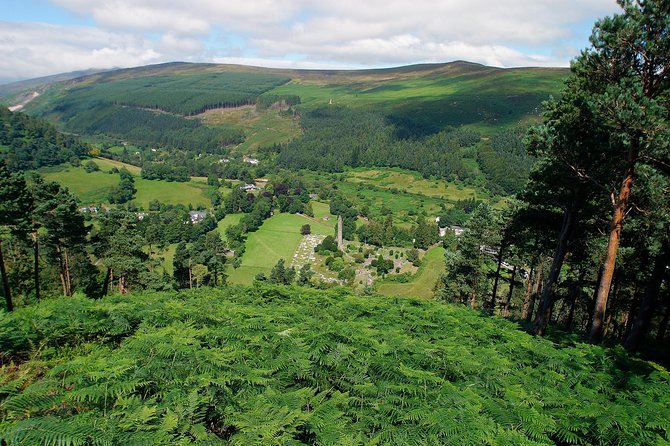 Shore Excursion: Wicklow Mountains, Avoca & Glendalough Rail Tour - Traveler Experiences