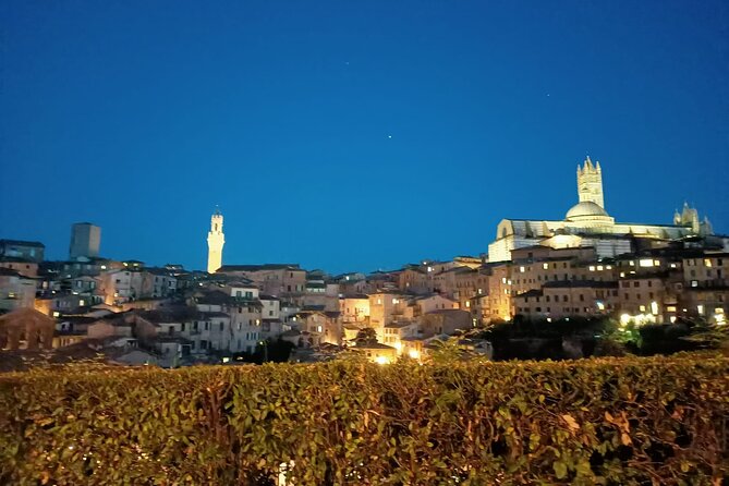 Siena Underground Wine Tasting in a Medieval Cave - Immersive Tasting Experience