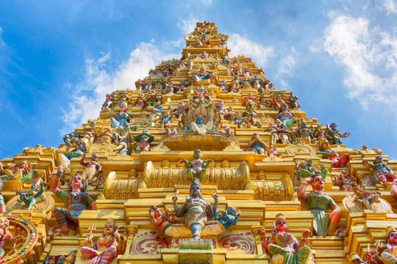 Sigiriya to Minneriya: Sri Lanka's Heritage and Nature Trail - Transportation and Guided Service