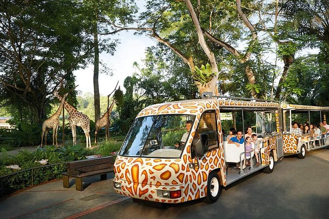 Singapore Bird Paradise & Zoo Full Day (Ticket & Transfer ) - Highlights of the Tour