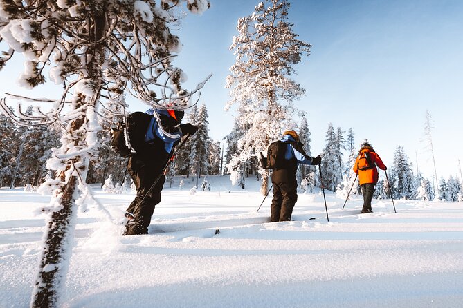 Ski Trekking Safari in Lapland - Pickup and Drop-off Options
