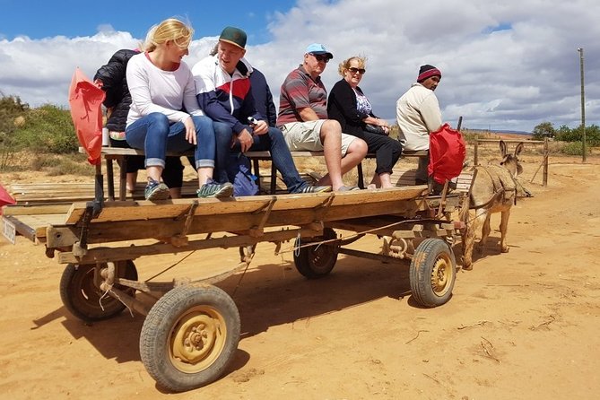 Skip the Line: Highgate Ostrich Farm Tour Ticket - Tips for an Enjoyable Experience