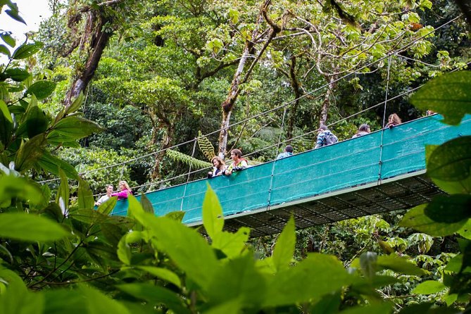 Sky Trek & Sky Tram at MONTEVERDE - Adventure Highlights