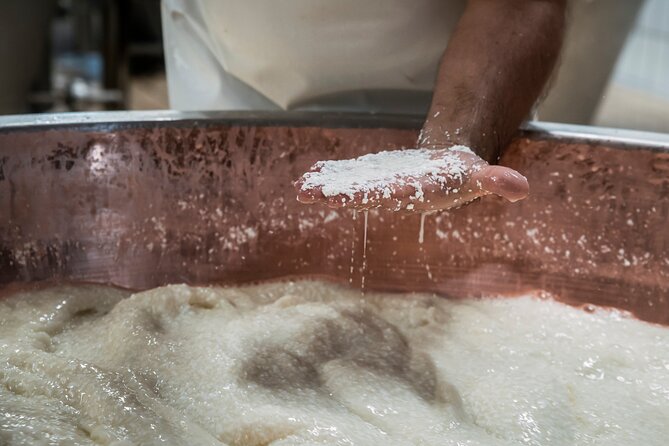 Slow Parma Food Experience Half Day Private Tour and Tasting - Personalized Experience and Accommodations