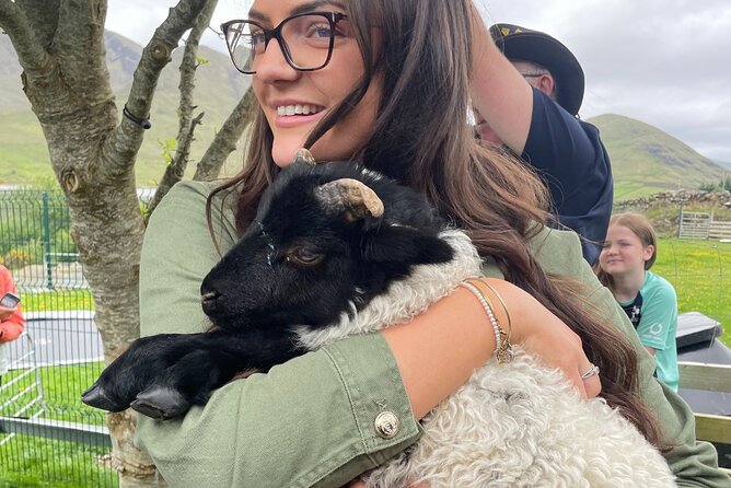 Small Group Aughnanure Castle, Sheepdog Demo & Connemara Tour - Meeting Information