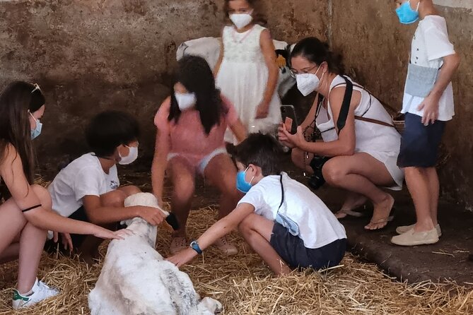 Small Group Cheese Making and Tasting From the Island of Baleares - Snacks and Refreshments Included