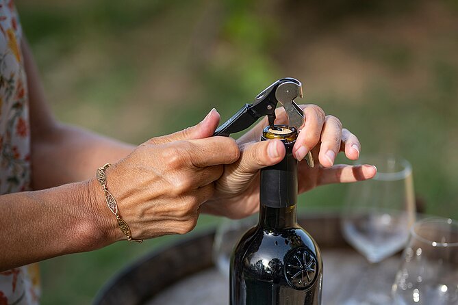 Small-Group Half-Day Languedoc Wine and Olive Tour From Montpellier - Winemaking Techniques and Tastings