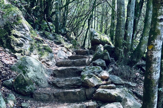Small Group Mountain Day Trip - Tour Ratings and Reviews