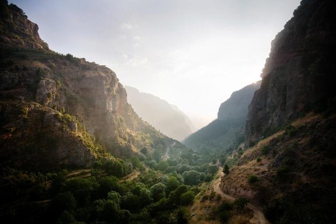 Small-Group Tour With Lunch to Qadisha Valley, Bcharre and Cedars - Traveler Feedback