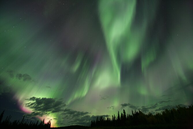 Small Group Yukon Aurora Viewing - Customer Reviews