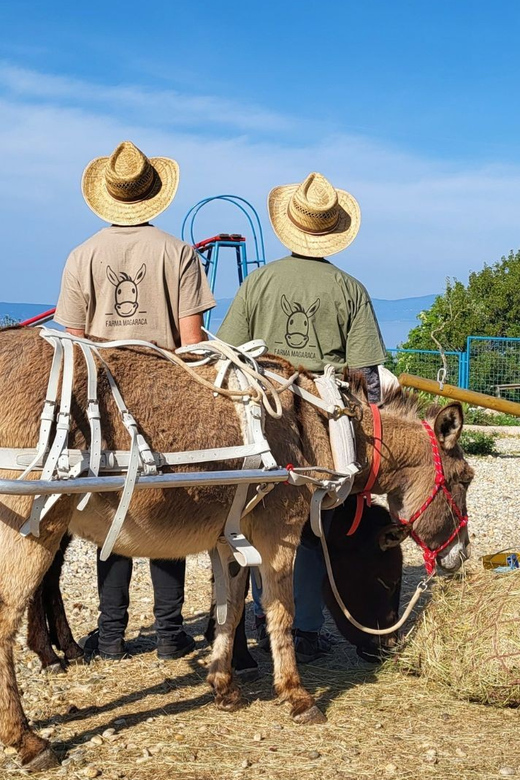 Šmrika (near Rijeka/Krk/Crikvenica) Donkey Farm Entry Ticket - Directions and Important Information