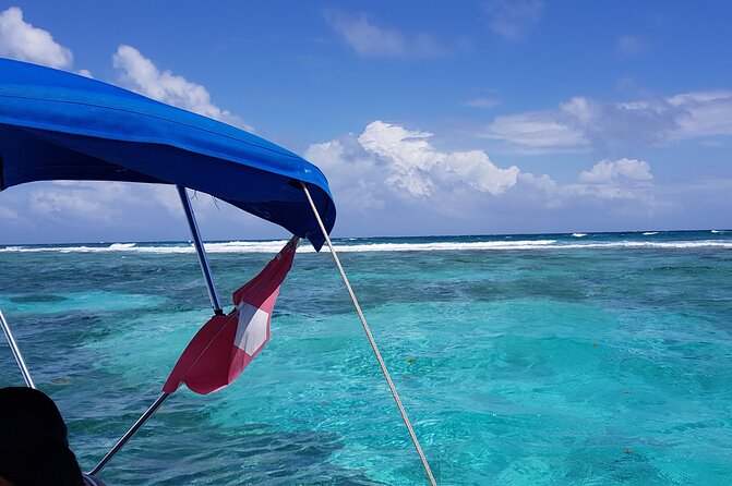 Snorkel HolChan Shark Ray Alley and Caye Caulker Manatee Spotting