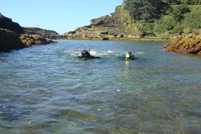 Snorkeling in Vila Franca Do Campo - Unique Marine Attractions