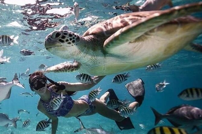 Snorkeling Tour In Gili Islands Pick Up From Lombok Or Gili - Pricing Information