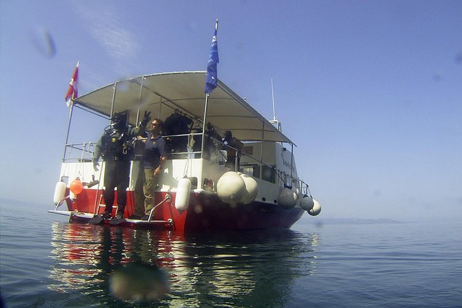 Snorkeling Tour Makarska Riviera, Islands of Hvar or Brač - Customer Feedback and Experiences