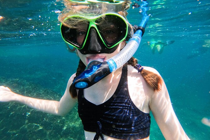Snorkeling With Turtles in Fujairah With Transfer & BBQ Lunch - Family-Friendly Adventure