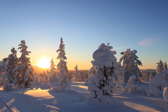 Snowshoe in a Winter Forest - Exploring the Winter Landscape