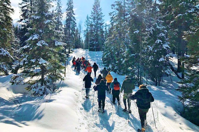 Snowshoe Tour in Winter Wonderland - Oslo - Snowshoeing Essentials