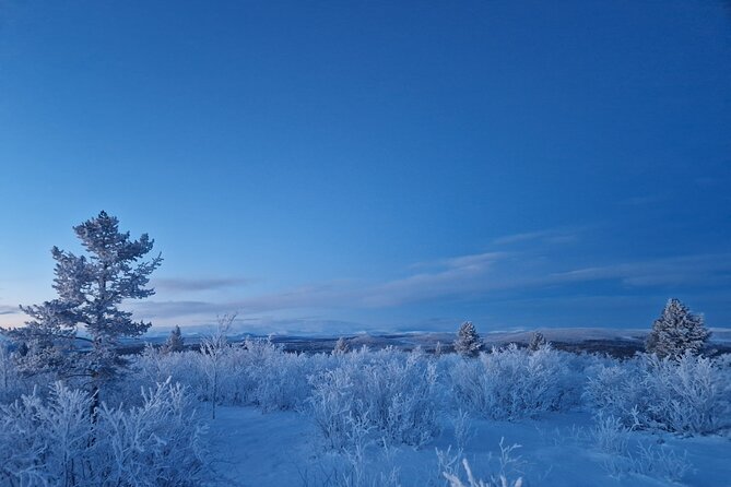 Snowshoe up a Mountain - Reviews and Feedback