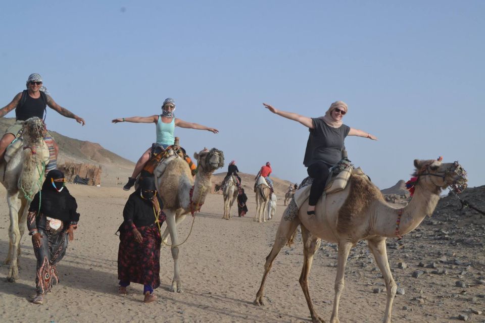 Soma Bay: ATV Quad Safari, Bedouin Village & Camel Ride - Customer Feedback