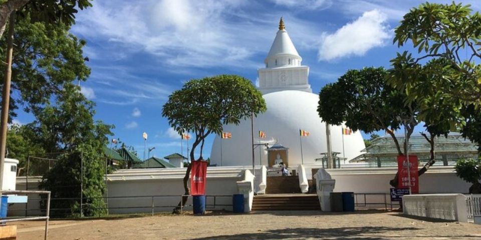 Southern Sri Lanka Temple Quest: From Hambantota Harbor - Payment Options and Booking